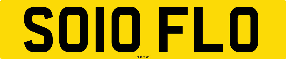SO10 FLO Number Plate