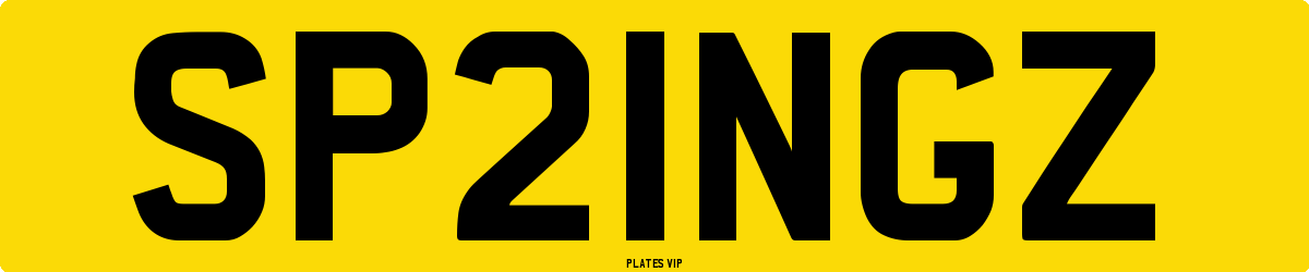 SP21NGZ Number Plate