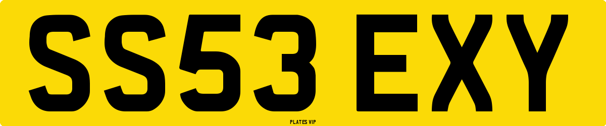 SS53 EXY Number Plate