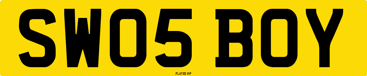 SW05 BOY Number Plate