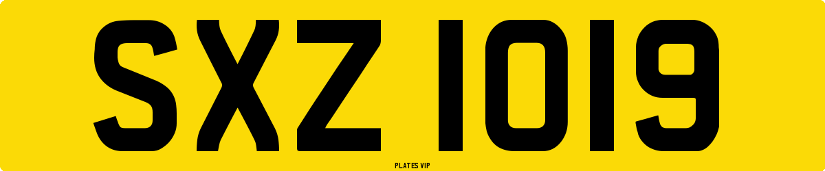 SXZ 1019 Number Plate