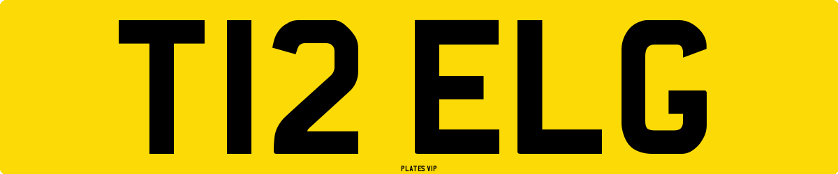 T12 ELG Number Plate