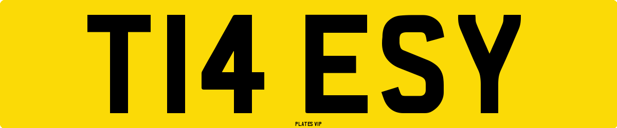 T14 ESY Number Plate