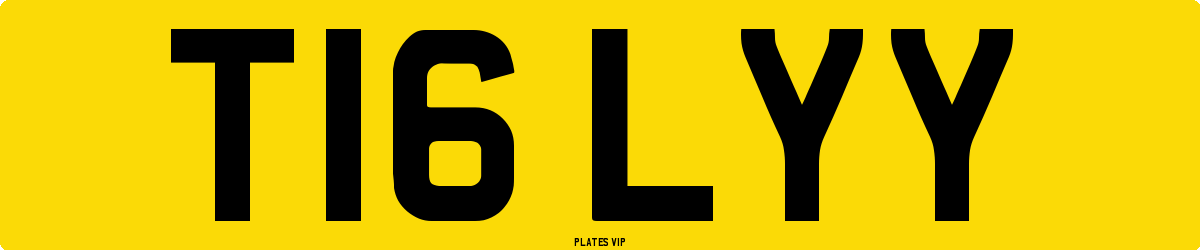 T16 LYY Number Plate