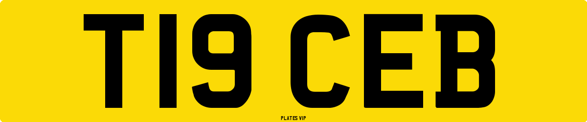 T19 CEB Number Plate
