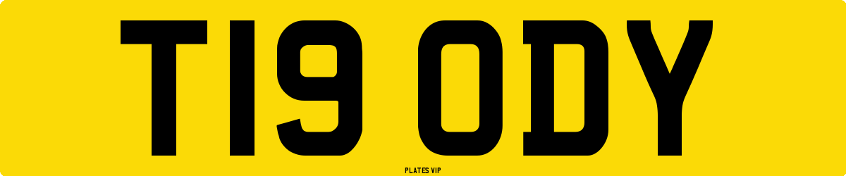 T19 ODY Number Plate