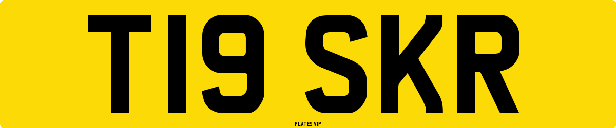 T19 SKR Number Plate