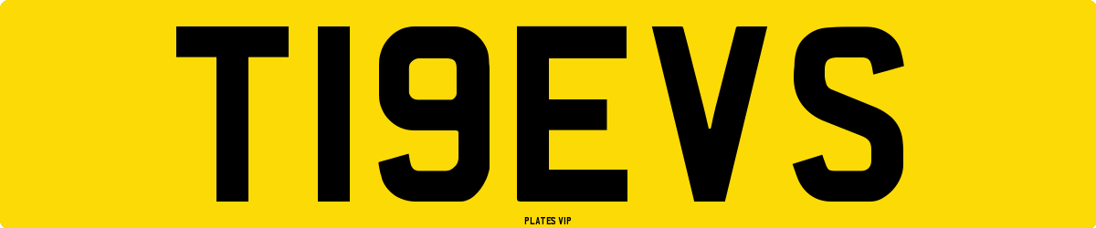 T19EVS Number Plate