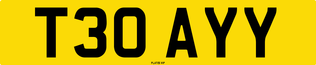 T30 AYY Number Plate