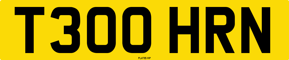 T300 HRN Number Plate