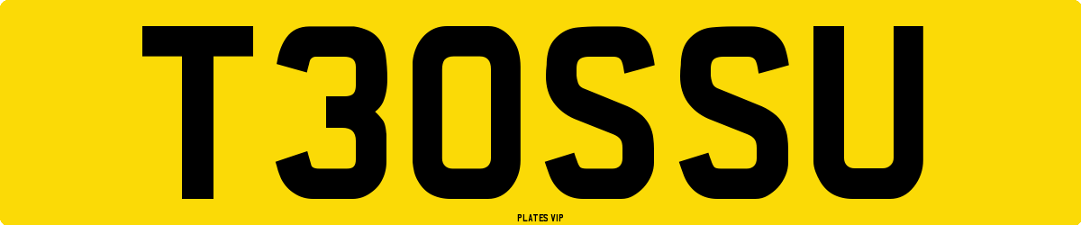 T30SSU Number Plate