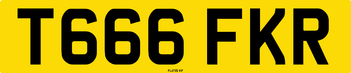 T666 FKR Number Plate