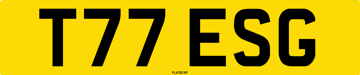 T77 ESG Number Plate