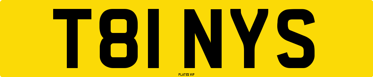 T81 NYS Number Plate