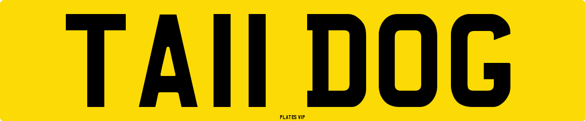 TA11 DOG Number Plate