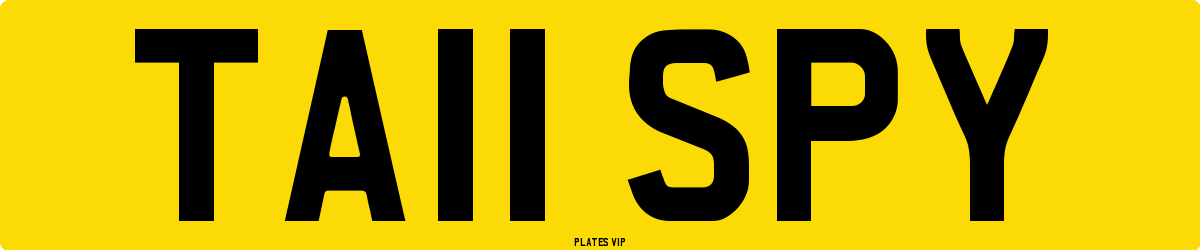 TA11 SPY Number Plate
