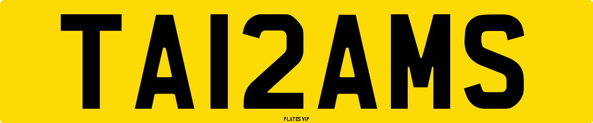 TA12AMS Number Plate