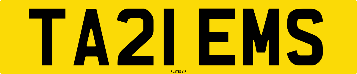 TA21 EMS Number Plate