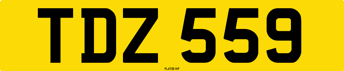 TDZ 559 Number Plate