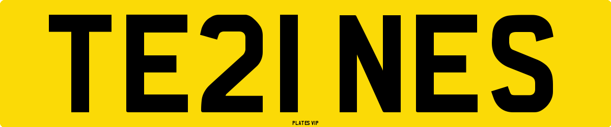 TE21 NES Number Plate