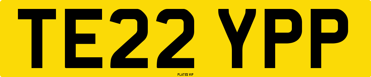 TE22 YPP Number Plate
