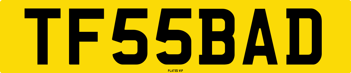 TF 55 BAD Number Plate