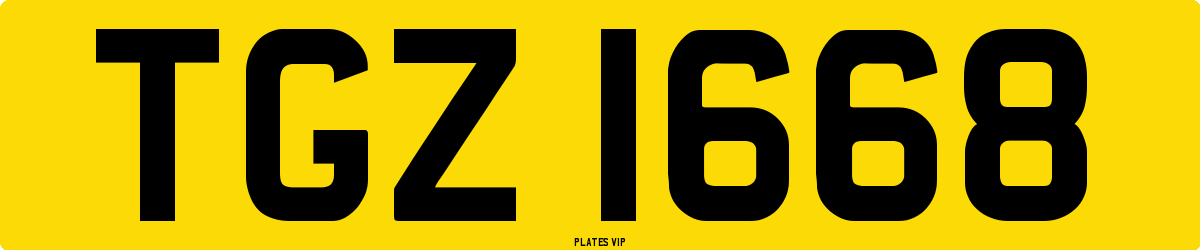 TGZ 1668 Number Plate