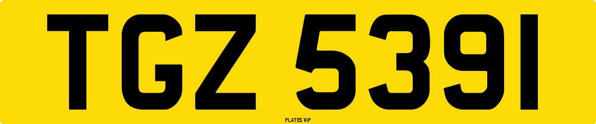 TGZ 5391 Number Plate