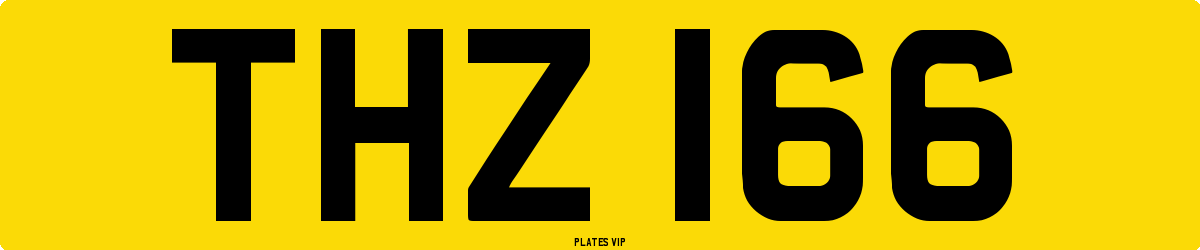 THZ 166 Number Plate