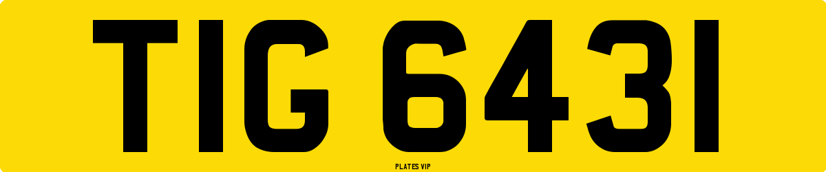 TIG 6431 Number Plate