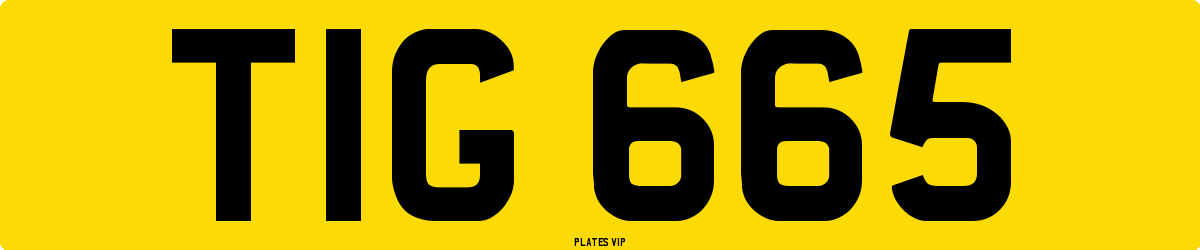 TIG 665 Number Plate