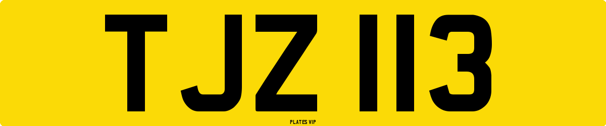 TJZ 113 Number Plate