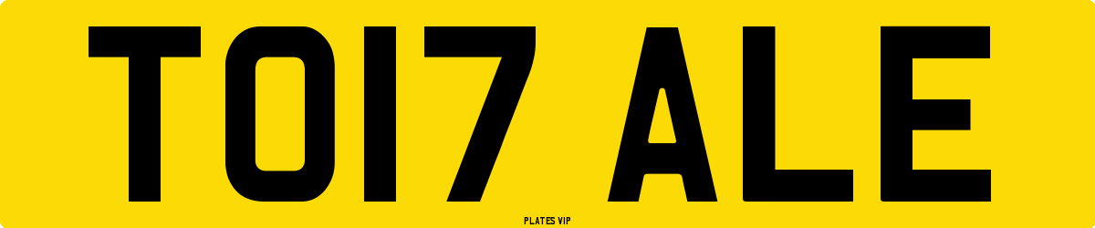TO17 ALE Number Plate