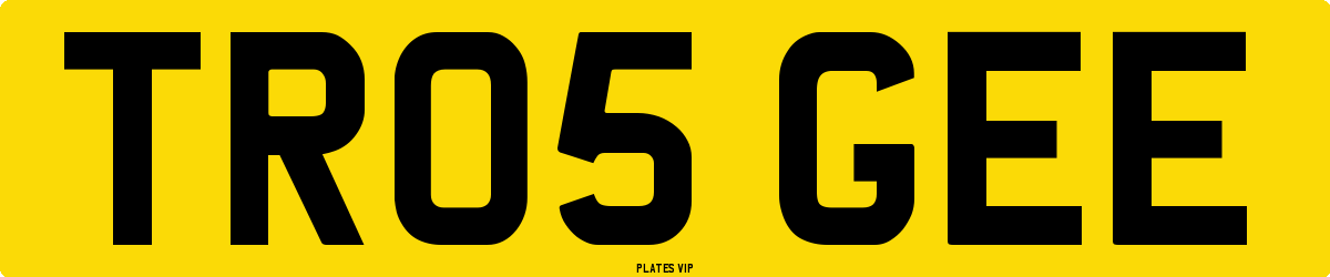 TR05 GEE Number Plate