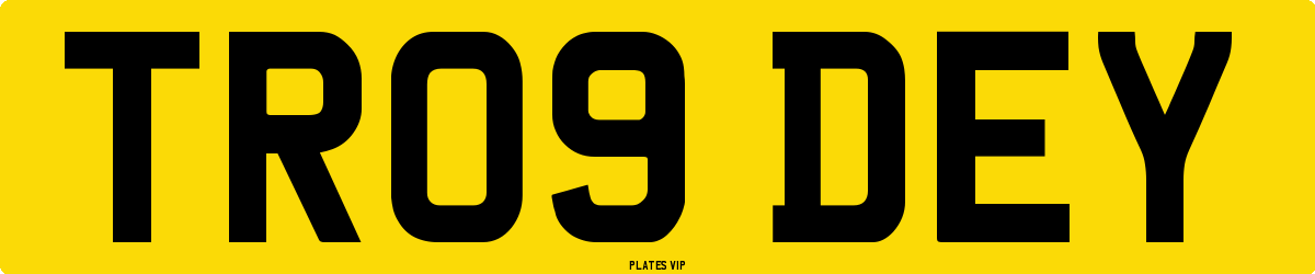 TR09 DEY Number Plate