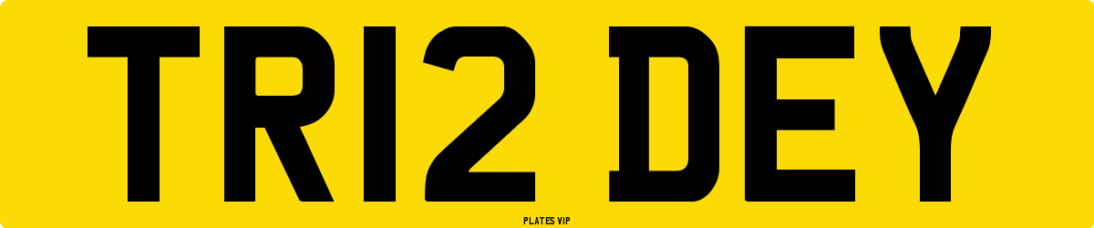 TR12 DEY Number Plate