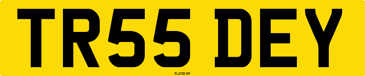 TR55 DEY Number Plate