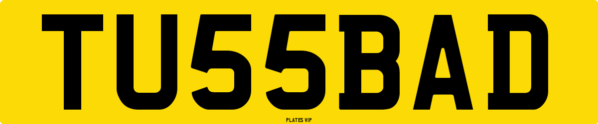 TU 55 BAD Number Plate