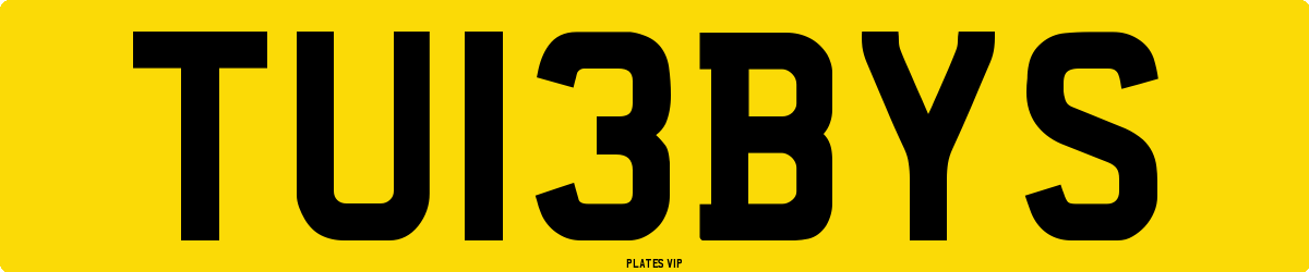 TU13BYS Number Plate
