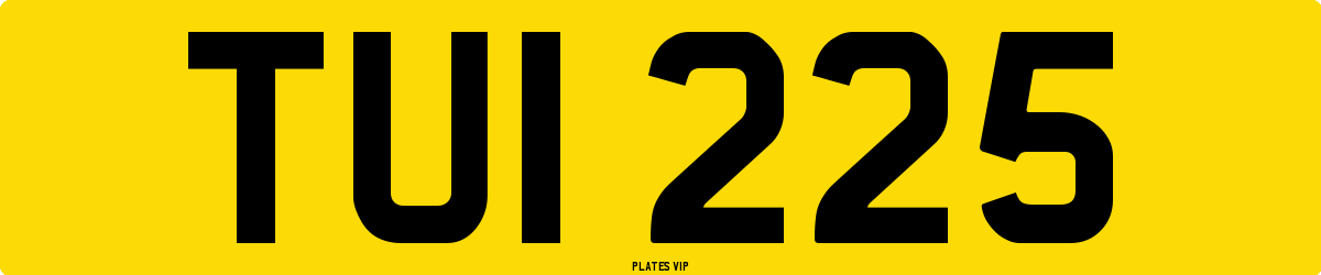 TUI 225 Number Plate