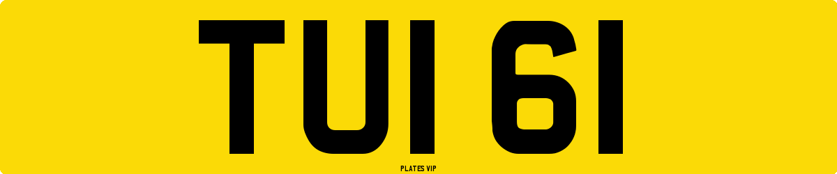 TUI 61 Number Plate