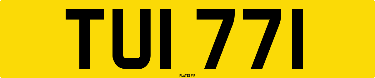 TUI 771 Number Plate