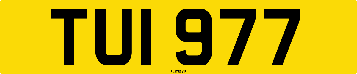 TUI 977 Number Plate
