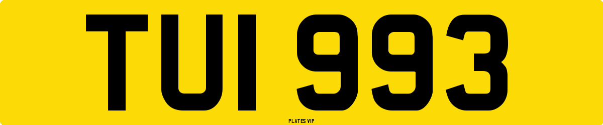 TUI 993 Number Plate