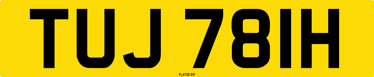 TUJ 781H Number Plate