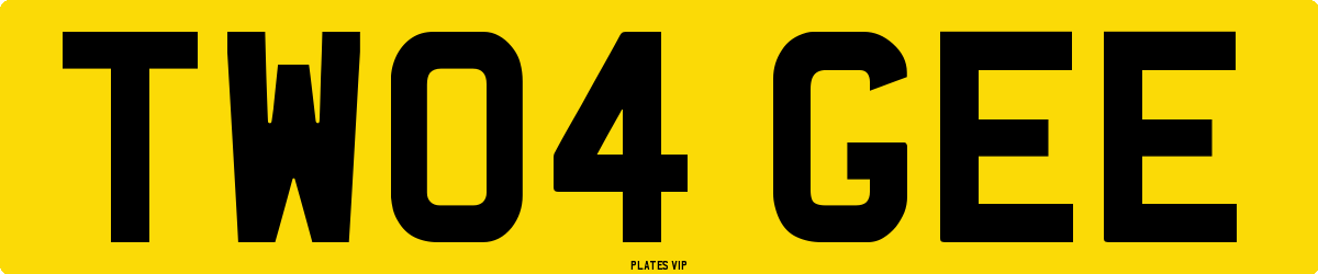 TW04 GEE Number Plate