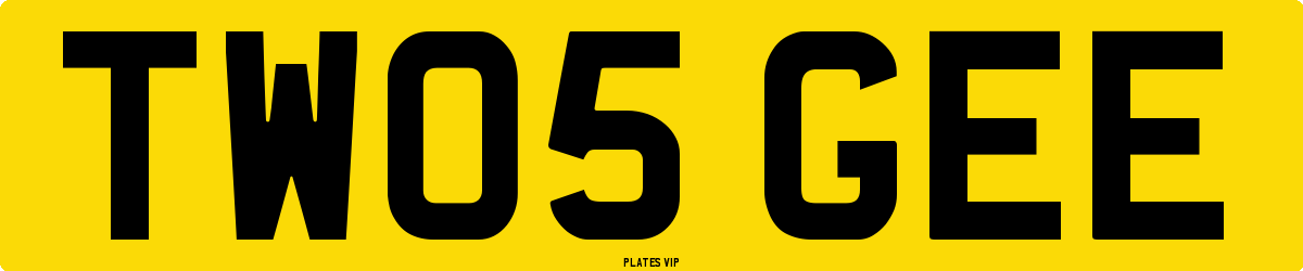 TW05 GEE Number Plate