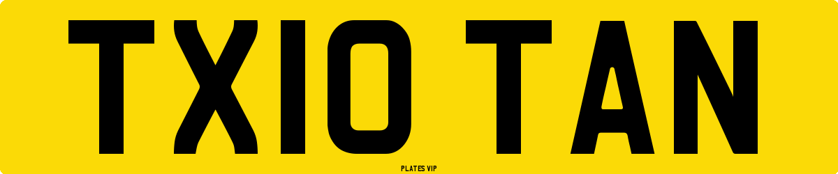 TX10 TAN Number Plate