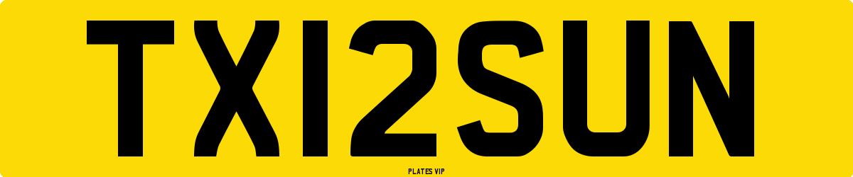 TX12SUN Number Plate