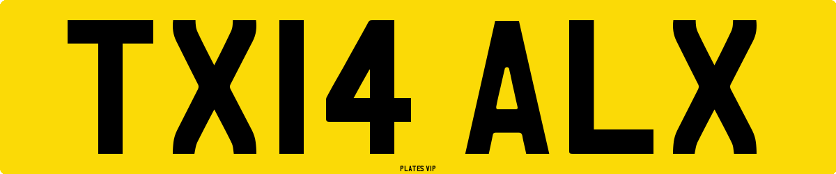 TX14 ALX Number Plate